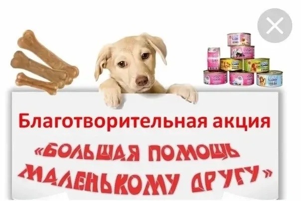Изображение 001